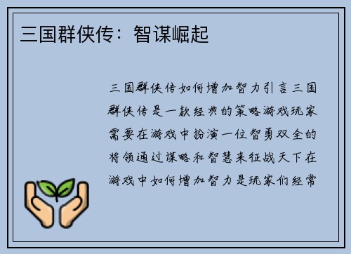三国群侠传：智谋崛起